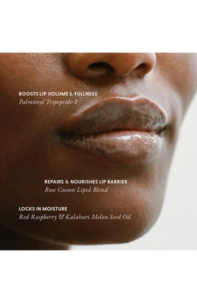 Iris & Romeo Lip Cocoon Hydrating Barrier Repair Lip Balm With Peptides 0.67 oz / 19 G