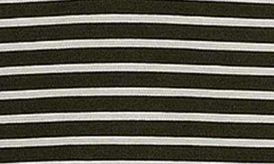 D.rt Stripe Polo In Black