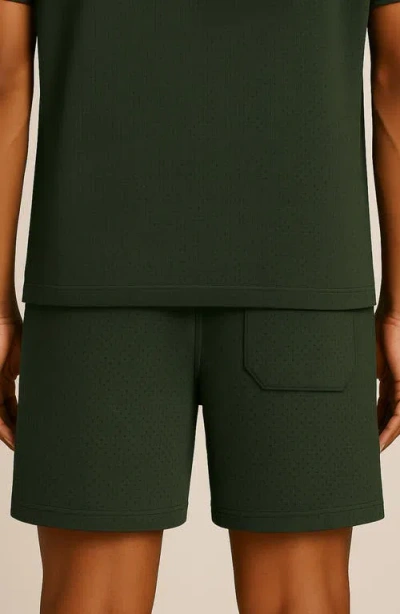 D.rt Perforated Cotton Drawstring Shorts In Green
