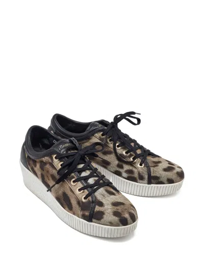 Pre-owned Dolce & Gabbana Leopard-print Leather Sneakers