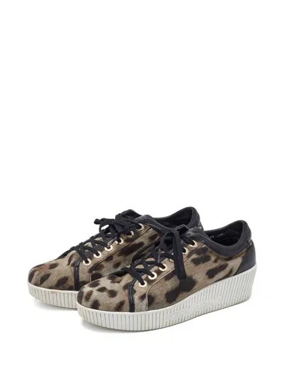 Pre-owned Dolce & Gabbana Leopard-print Leather Sneakers