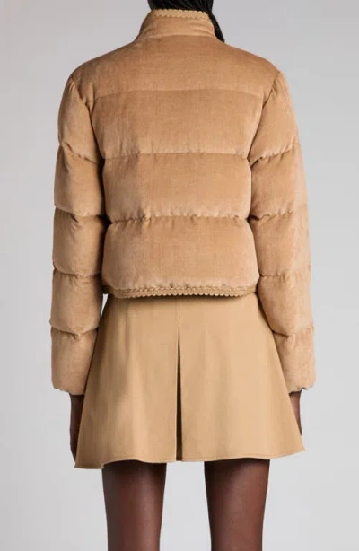 Moncler Essarts Ricrac-trimmed Quilted Padded Down Corduroy Jacket In Brown