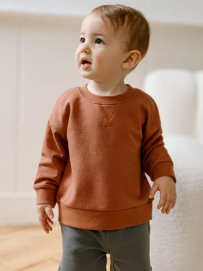 Colored Organics Quinn Organic French Terry Relaxed Pullover Sweatshirt In Brown