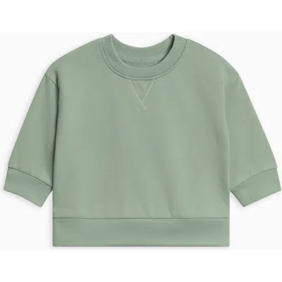 Colored Organics Quinn Organic French Terry Relaxed Pullover Sweatshirt In Green