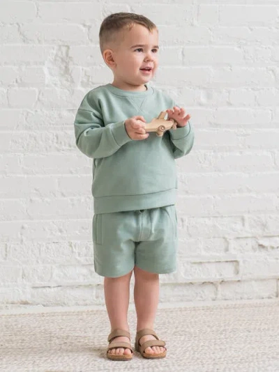 Colored Organics Quinn Organic French Terry Relaxed Pullover Sweatshirt In Green
