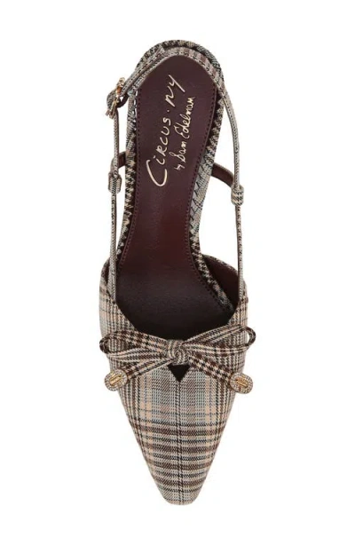 Circus Ny By Sam Edelman Monica Pointed Toe Slingback Pump