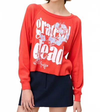 Daydreamer Grateful Dead Blooming Flowers Raglan Long Sleeve Top In Radiant Watermelon In Red