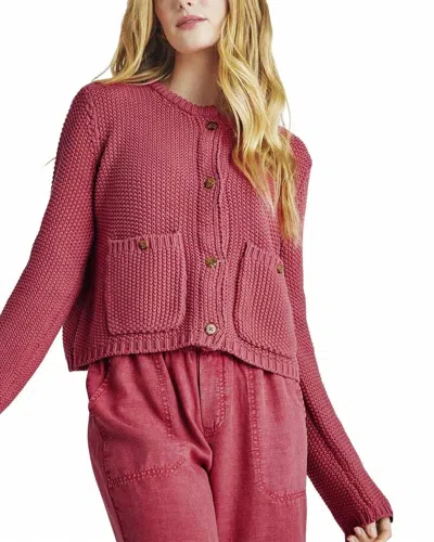 Splendid Andrea Cropped Cardigan In Fuchsia In Red