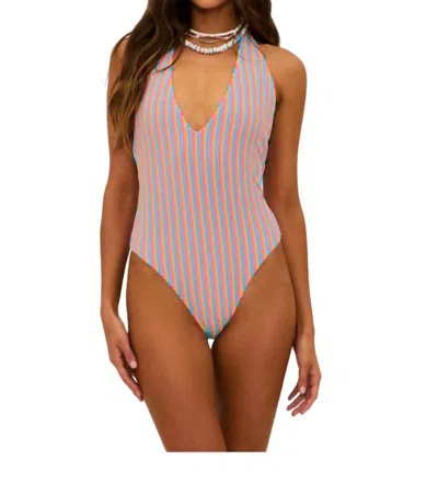 Beach Riot Frida V-neck One Piece In Petal Stripes
