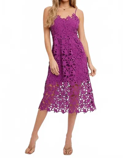 Bluivy Orchid Crochet Lace Midi Dress In Rose In Purple
