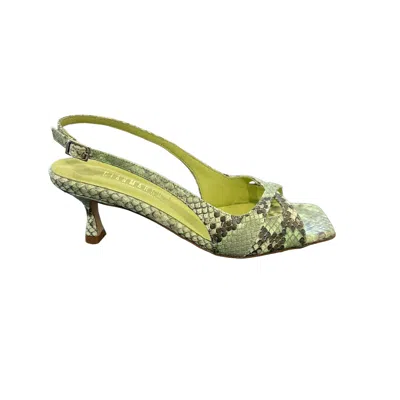 Gianmarco F. - Diamond Green M029 In Multi