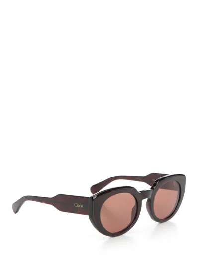 Chloé Panthos Glasses Brown
