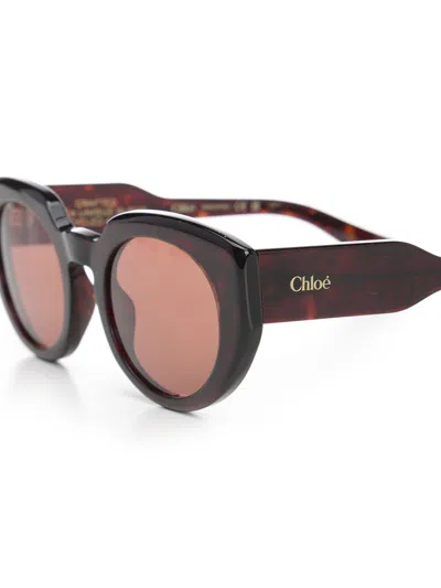 Chloé Panthos Glasses Brown