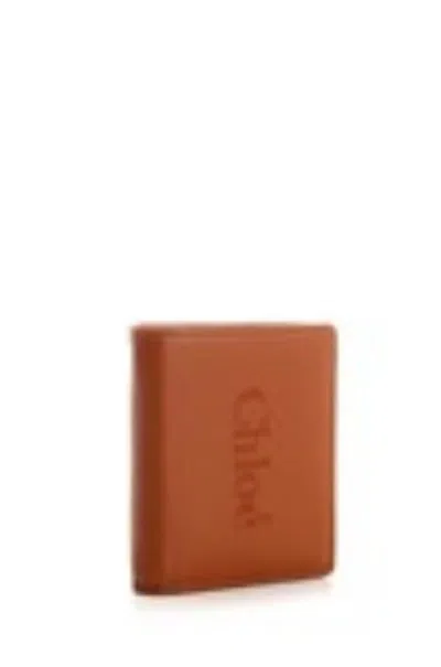 Chloé Sense Handbags Brown