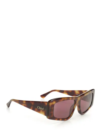 Chloé Square Sun Glasses Brown