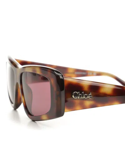 Chloé Square Sun Glasses Brown