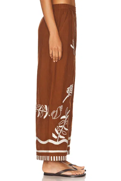 Eres Octopus Pant In Brown