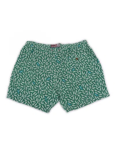 Mc2 Saint Barth Comfort Lightning Gecko-print Swim Shorts In Green