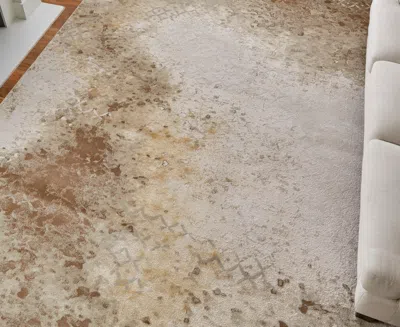 Feizy Waldor 39ncf 5'x8' Area Rug In Neutral