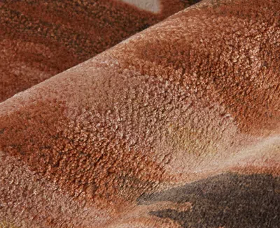 Feizy Anya 8883f 8'x10' Area Rug In Brown