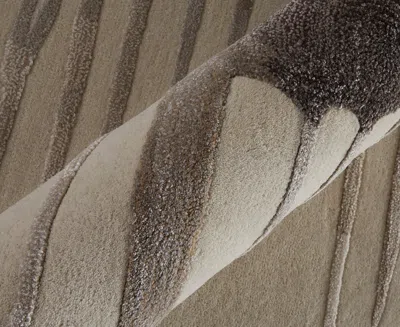 Feizy Anya 8882f 8'x10' Area Rug In Neutral