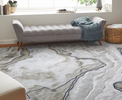 Feizy Gaspar 39kuf 5'2"x7'2" Area Rug In Gray