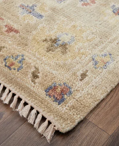 Feizy Fillmore 69cjf 2'x3' Area Rug In Multi
