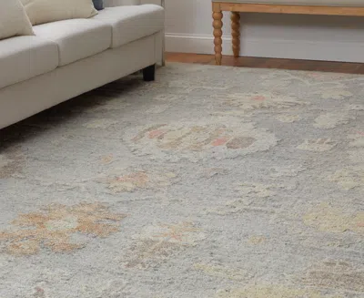 Feizy Grafton 69fmf 2'x3' Area Rug In Gray