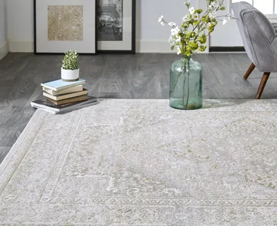 Feizy Aura 3734f 3'11"x6' Area Rug In Neutral