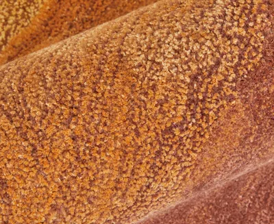 Feizy Anya 8921f 8'x10' Area Rug In Brown