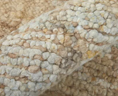 Feizy Grafton 69f8f 7'9"x9'9" Area Rug In Neutral