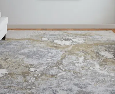 Feizy Astra 39l3f 5'x8' Area Rug In Multi