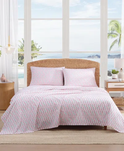 Tommy Bahama Home Cotton Percale 4 Piece Sheet Set, King