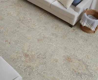 Feizy Grafton 69fnf 2'x3' Area Rug In Neutral