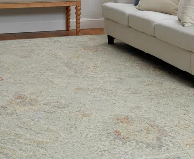Feizy Grafton 69fnf 2'x3' Area Rug In Neutral