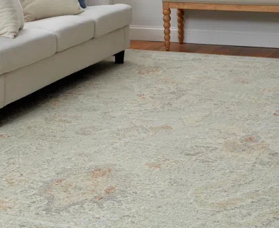 Feizy Grafton 69fnf 2'x3' Area Rug In Neutral