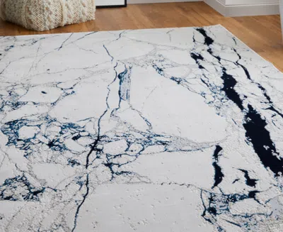Feizy Indio 39gwf 3'11"x6' Area Rug In Blue