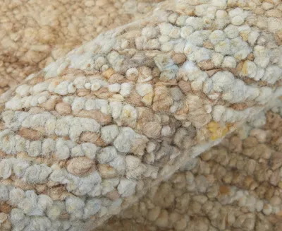 Feizy Grafton 69f8f 2'x3' Area Rug In Neutral