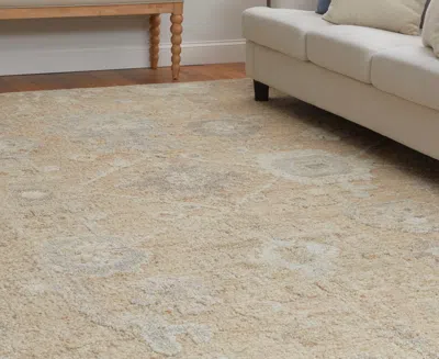 Feizy Grafton 69f8f 2'x3' Area Rug In Neutral