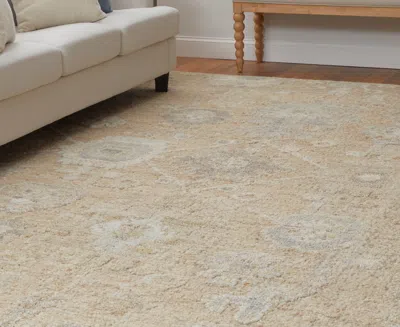 Feizy Grafton 69f8f 2'x3' Area Rug In Neutral