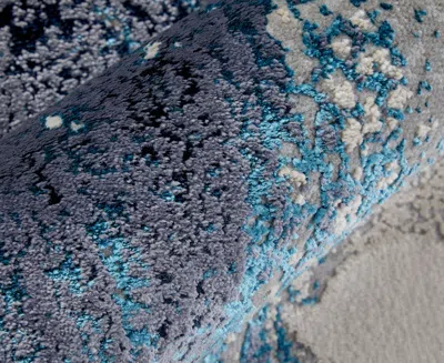 Feizy Indio 39h2f 3'11"x6' Area Rug In Blue