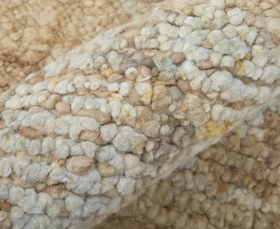 Feizy Grafton 69f8f 5'6"x8'6" Area Rug In Neutral