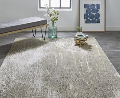 Feizy Aura 3739f 3'11"x6' Area Rug In Neutral