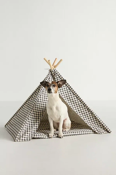 Fringe Studio Pet Teepee In Neutral