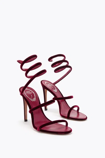 René Caovilla Cleo Rubino Velvet Sandal
