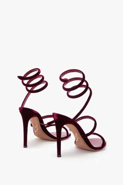René Caovilla Cleo Rubino Velvet Sandal