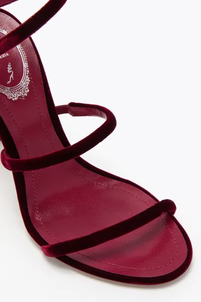 René Caovilla Cleo Rubino Velvet Sandal
