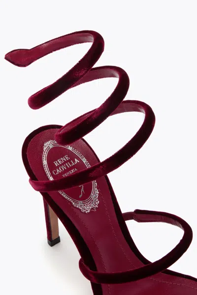 René Caovilla Cleo Rubino Velvet Sandal
