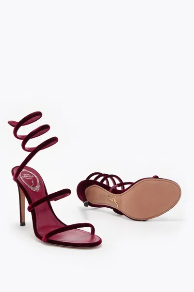 René Caovilla Cleo Rubino Velvet Sandal