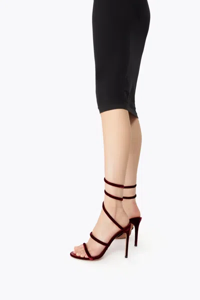 René Caovilla Cleo Rubino Velvet Sandal